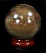 Colorful Petrified Wood Sphere #36973-2